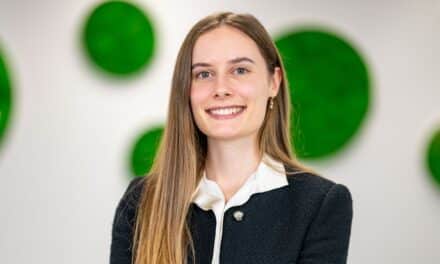 Baumann Paletten mit neuem CEO